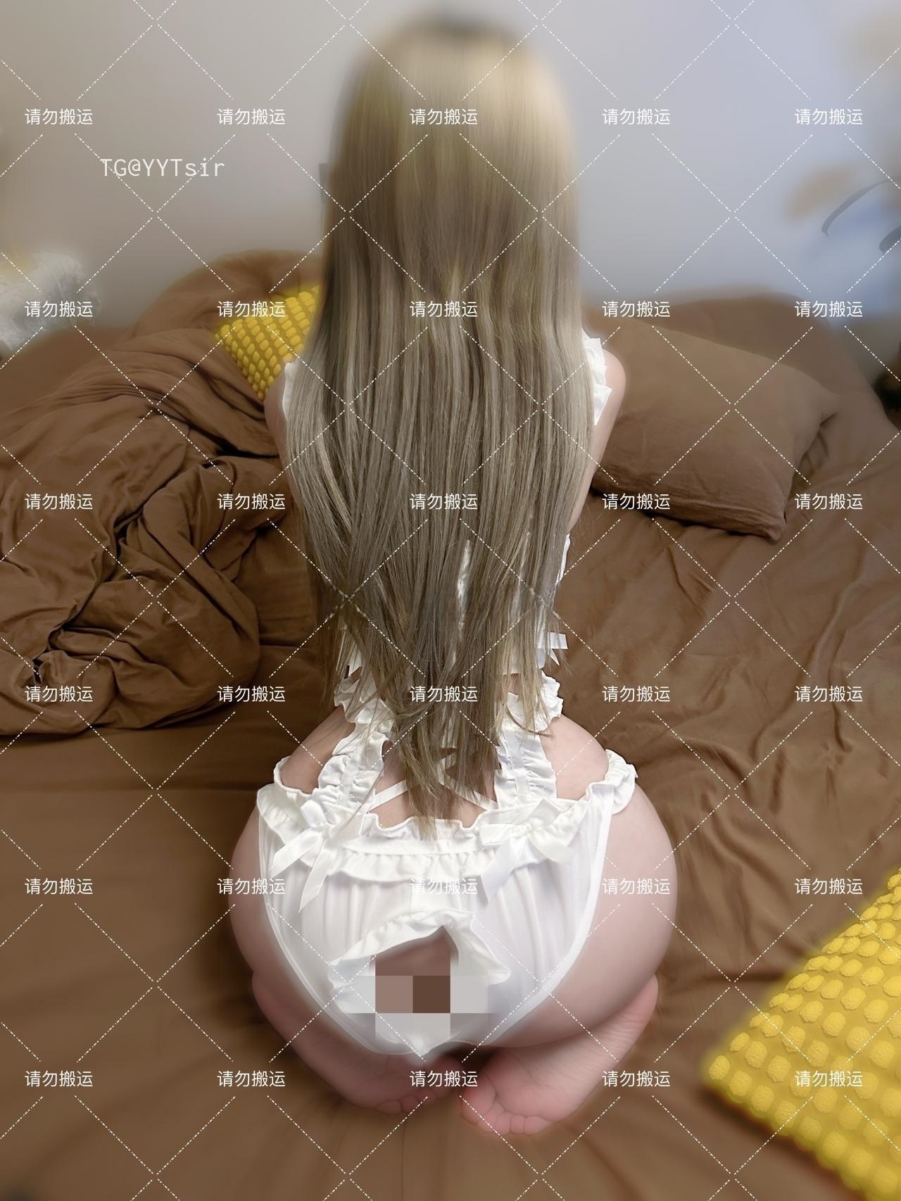 抖音 阿尔卑香小狗子 微密圈  NO.019期 【14P1V】深夜宿舍-仓鼠控的第二选择