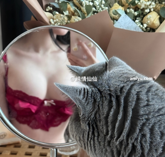 图片[5]深夜宿舍|一个懂你的资源网站|微密圈资源最全在线下载官网论坛No.406-微密圈小仙合集【更新至5期】深夜宿舍|一个懂你的资源网站|微密圈资源最全在线下载官网论坛深夜宿舍|一个懂你的资源网站|