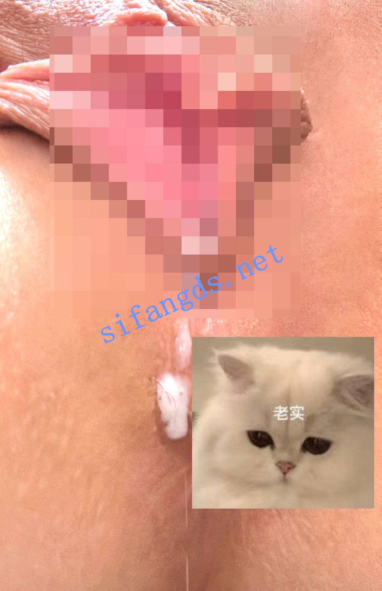 图片[13]深夜宿舍-仓鼠控的第二选择【在线播放】推特白虎粉穴 19岁反差福利姬阳漾 ❤️订阅福利合集【45V】【557M】深夜宿舍-仓鼠控的第二选择