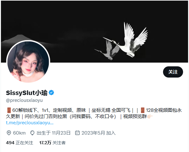 【无在线播放】✨SissySlut小瑜✨国产极品TS，推特十七万粉丝，可可爱爱白白嫩嫩，自己玩到表情崩坏，最新精华整合合集【4V】【1.17G】深夜宿舍-仓鼠控的第二选择