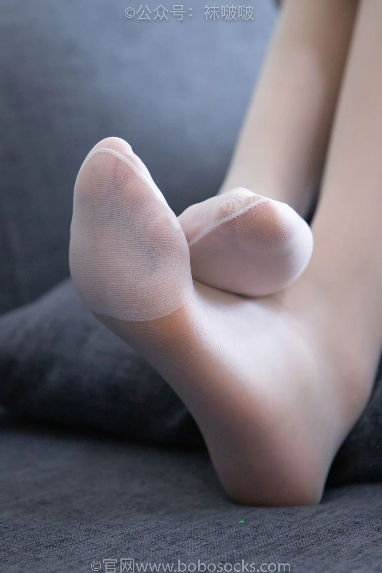 BoBoSocks袜啵啵 – 全套599期( 含4K视频)+限积分9套[3790G-2025.11]深夜宿舍-仓鼠控的第二选择