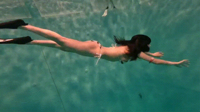 图片[39]深夜宿舍-仓鼠控的第二选择【无在线播放】斗鱼 小小玉酱-17 巨乳 露半奶 抖胸舞 情趣内衣 舌吻等【21V】【1.04G】深夜宿舍-仓鼠控的第二选择