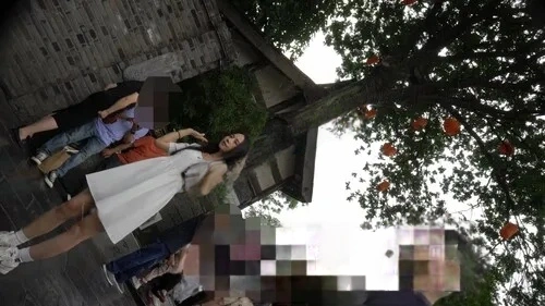 【无在线播放】（空城原创）白裙美女逛街，条纹小N前面透明漏黑森林【1V】【315M】深夜宿舍-仓鼠控的第二选择