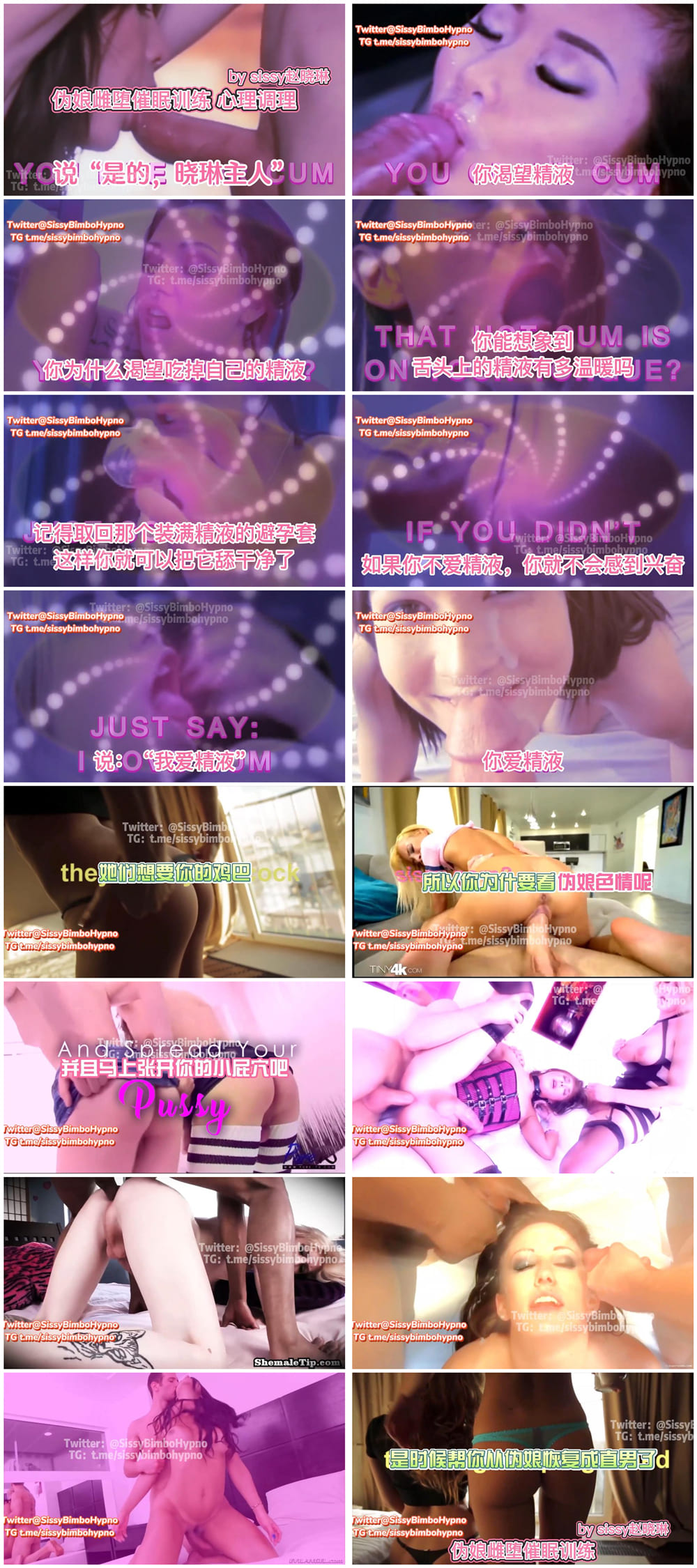 【无在线播放】❤️精品推荐❤️【推特】伪娘训练师『赵晓琳』训练视频5-伪娘雌堕催眠训练视频【4V】【0.97G】深夜宿舍-仓鼠控的第二选择