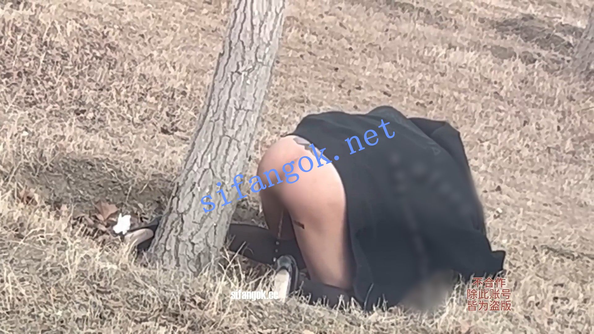 图片[13]深夜宿舍-仓鼠控的第二选择【无在线播放】微博推特网红【唐唐奶凶大人】极美身材疯狂啪啪福利-3【10V】【1.88G】深夜宿舍-仓鼠控的第二选择