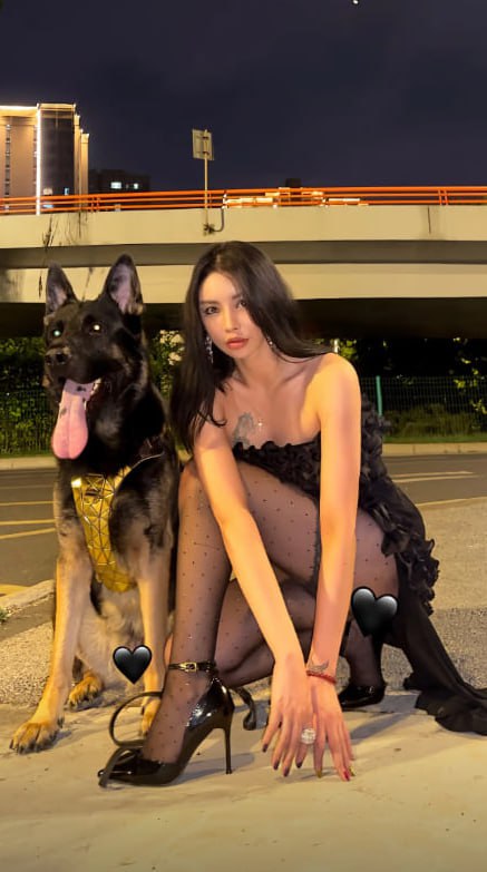 图片[3]深夜宿舍-仓鼠控的第二选择【无在线播放】抖音 嘉桐 LiLi 20万粉 形象顾问 露脸露点 自慰 裸舞 反差【8V】【116M】深夜宿舍-仓鼠控的第二选择