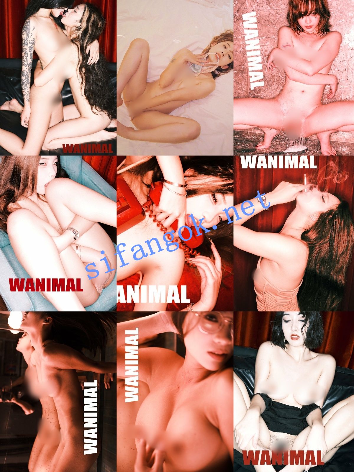 图片[10]深夜宿舍-仓鼠控的第二选择【无在线播放】【重磅】顶级摄影网红【王动】2025最新作品整理 太顶了【1014P85V】【3.29G】深夜宿舍-仓鼠控的第二选择