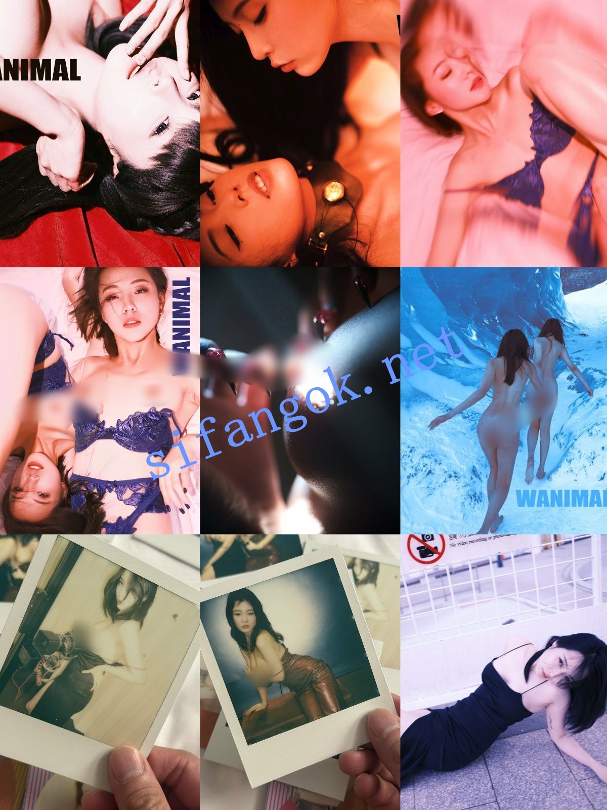 图片[11]深夜宿舍-仓鼠控的第二选择【无在线播放】【重磅】顶级摄影网红【王动】2025最新作品整理 太顶了【1014P85V】【3.29G】深夜宿舍-仓鼠控的第二选择